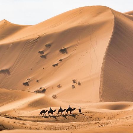 Your Berber Camp メルズーガ エクステリア 写真