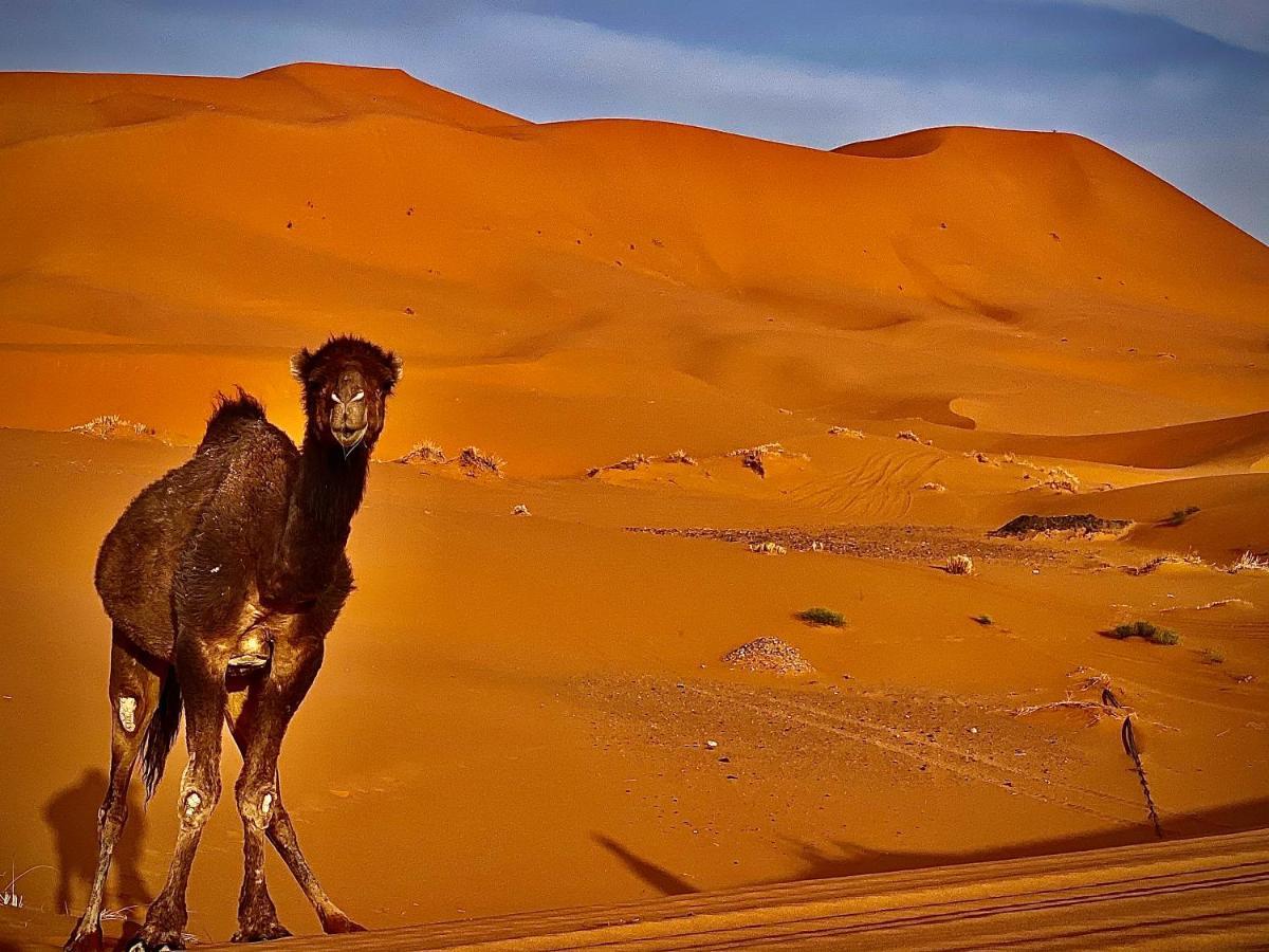 Your Berber Camp メルズーガ エクステリア 写真