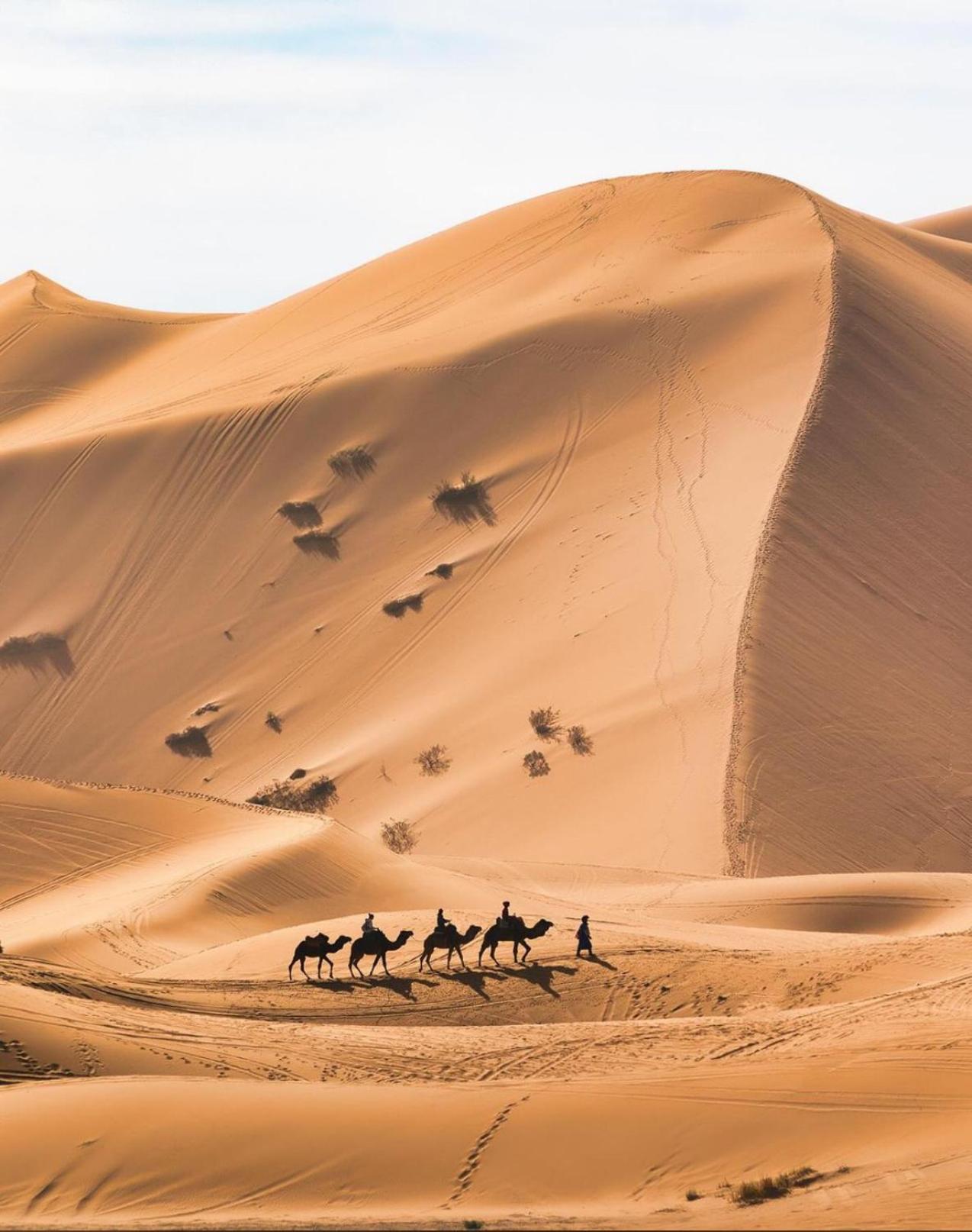 Your Berber Camp メルズーガ エクステリア 写真
